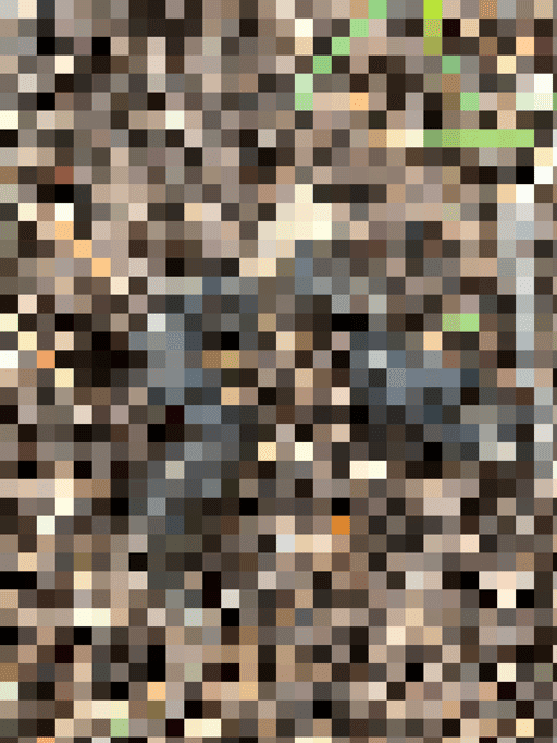 pixelated shit #48