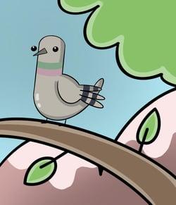 Pigeon Doods Official