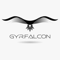 Gyrfalcon P2E