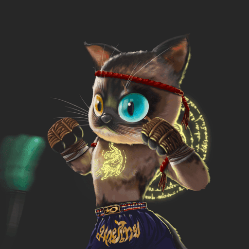 Muay Thai Siamese Cat