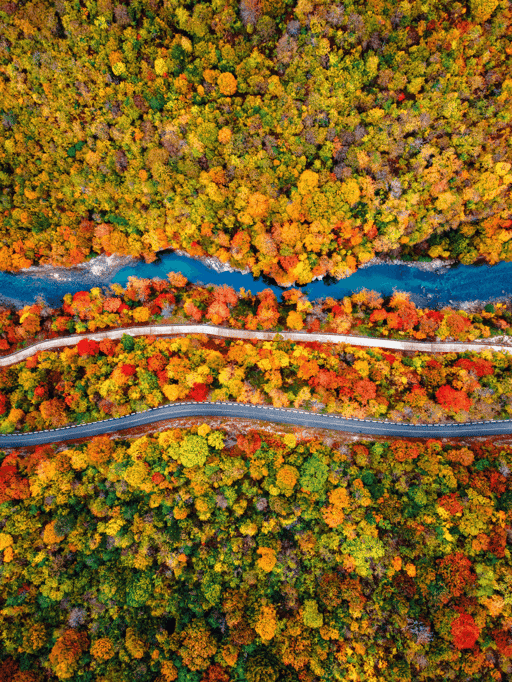 Countryside Autumn