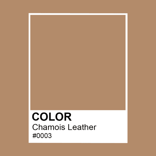 The Colors #0003