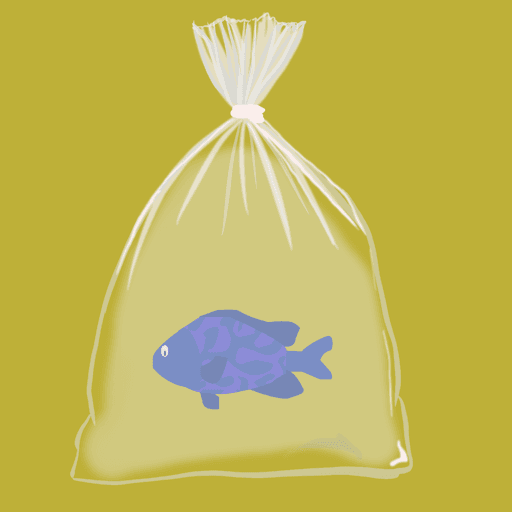 Feesh #109 "Tinny"