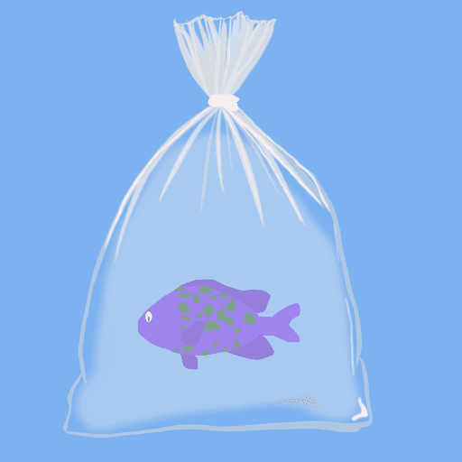 Feesh #1643 "Lucky"