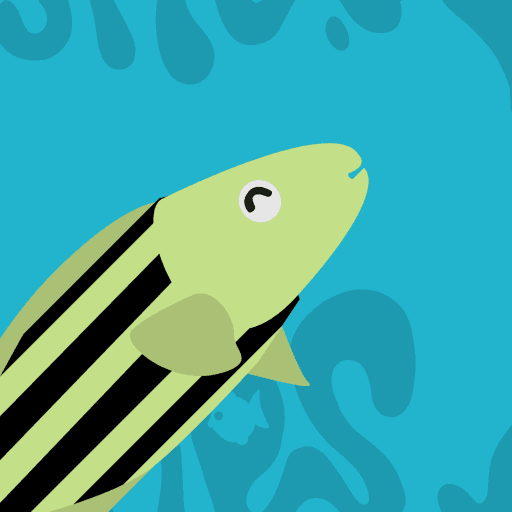 Feesh #81