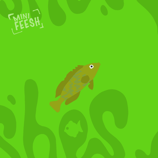 Feesh #3327 "Smalls"