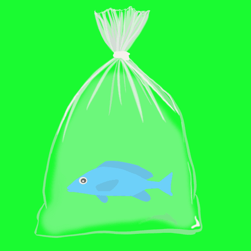 Feesh #436 "ECOMI"